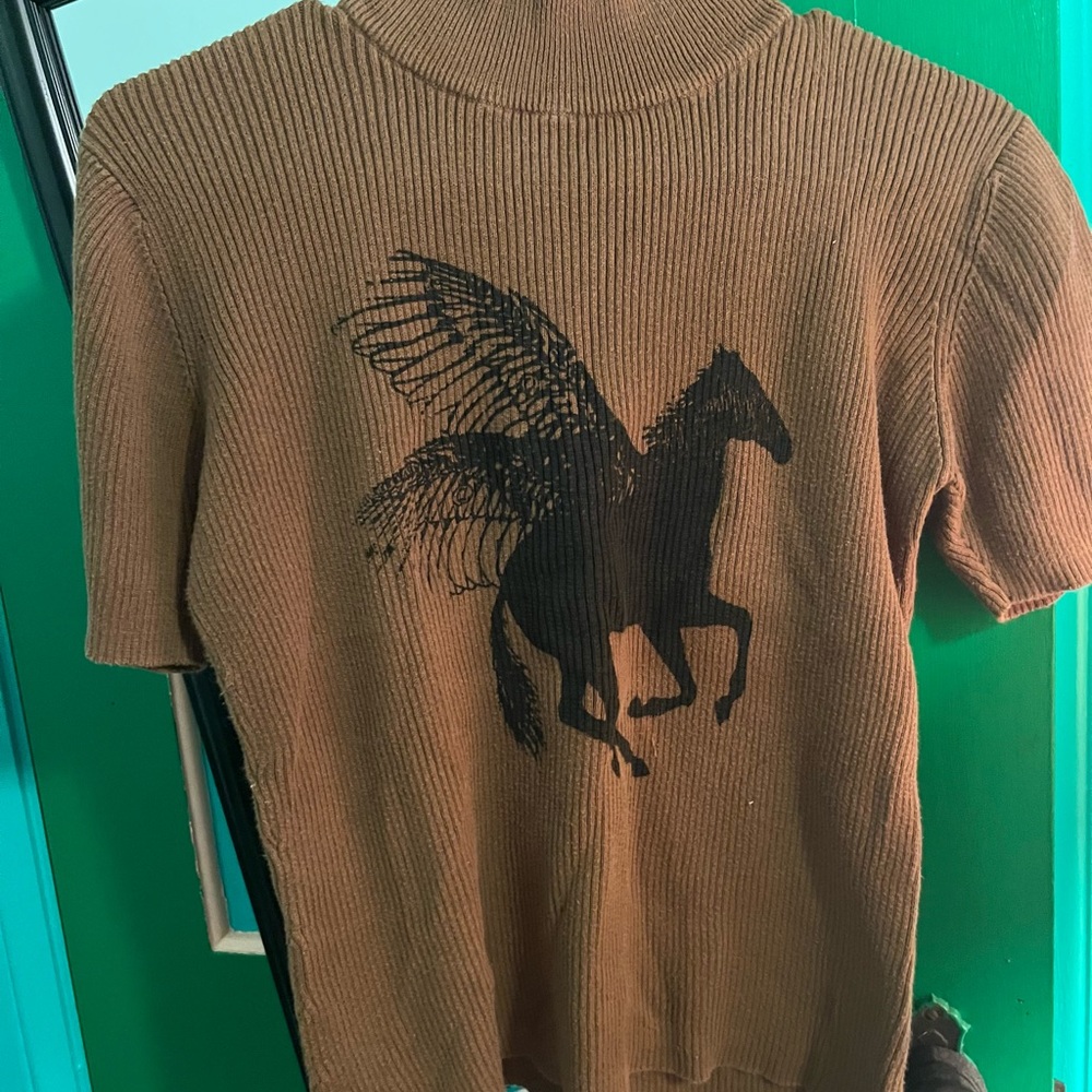 Royal Peasantry Pegasus Printed Sweater